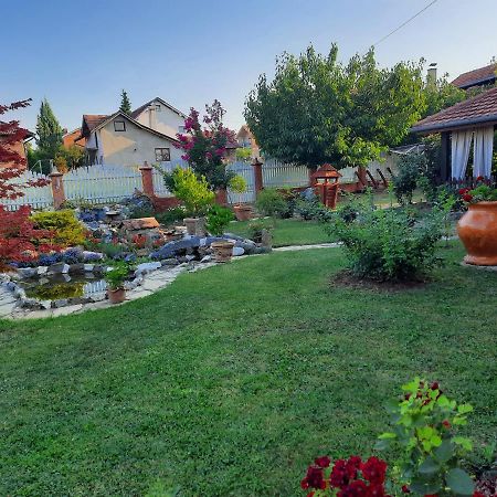Guest House Rose Smederevska Palanka Exterior foto